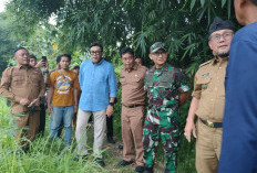 Tak Sesuai Karakter Wilayah, Wakil Ketua DPRD Jabar Tegaskan Sawit Harus Disingkirkan