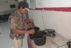 Jaga Populasi Rajungan, Nelayan Cirebon Lepasliarkan Jutaan Benih ke Laut