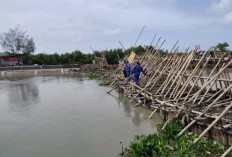 Kronologi Lengkap Hilangnya Pelajar di Sungai Sumbermas Kandanghaur Indramayu