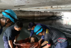 Menyentuh Hati, Damkar Cirebon Selamatkan ODGJ yang Lama Tinggal di Bawah Jembatan