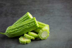 Jangan Remehkan Pare! Ini Dia 6 Manfaat Ajaibnya untuk Kesehatan Tubuh