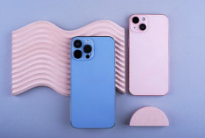 Rekomendasi 10 HP Terbaik 2026: Kamera, Baterai dan Performa Terbaik