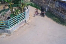 CCTV Rekam Aksi Jambret Anak di Pabuaran, Pelaku Tancap Gas Usai Rampas Barang