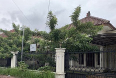 11 Rumah Eks Bupati Cirebon Dilelang KPK, Mulai dari 400 Jutaan