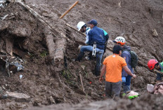 Basarnas dan TNI Selidiki Informasi 23 Anggota TNI AL Tertimbun Longsor di Cisarua