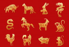 3 Shio Paling Beruntung Februari 2026: Rezeki, Cinta, dan Kesempatan Besar di Tahun Kuda