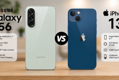 Selisih Rp2 Juta, Ini Perbandingan iPhone 13 Vs Samsung Galaxy A56 Full Komparasi dari Harga hingga Kamera