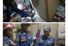 Warga Cirebon Syok, Biawak 80 Cm Bersembunyi di Dalam Kamar Rumah