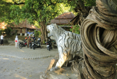 Wisata Religi di Cirebon: Situs Cimandung Tawarkan Nuansa Sejarah, Spiritual, dan Keindahan Alam