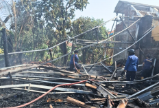 Kebakaran Kandang Ayam di Cirebon Diduga akibat Oven Overheat