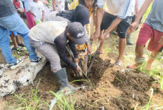 Resapan Air Terancam, Polemik Sawit di Cirebon Timur Berpotensi Picu Konflik Warga