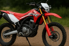 Motor Trail 150cc Bekas Rp15 Jutaan, Ada CRF150L, KLX 150 dan WR155R dengan Pilihan Tahun Beragam
