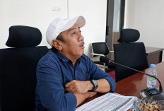 Komisi II DPRD Dorong UMKM Naik Kelas Lewat Digitalisasi  ?