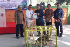 Indocement Tanam Pohon dan Serahkan Puluhan Monyet Ekor Panjang ke BBKSDA