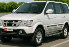 Rekomendasi Mobil MPV Bekas Harga 50 Jutaan, Pilihan Terbaik untuk Liburan Bersama Keluarga Tahun Ini