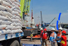Kolaborasi Perdana Pelindo dan Bulog, 2.000 Ton Beras Diberangkatkan dari Jawa ke Sumatera