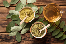 Kaya Vitamin dan Antioksidan, Ini Alasan Daun Kelor Baik untuk Kesehatan Mata 