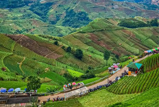 8 Tempat Wisata Majalengka Bareng Keluarga, Pemandangannya Indah & Bikin Liburan Makin Seru!