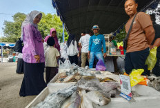 Gemarikan Digencarkan, DKPP Cirebon Dorong Warga Konsumsi Ikan dan UMKM Perikanan Naik Kelas