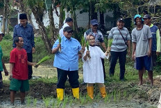 Dukung Ketahanan Pangan, George Edwin Sugiharto Tanam Padi