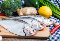 Tubuh Mudah Lelah? Ini 7 Makanan Kaya Zat Besi untuk Atasi Anemia Secara Alami