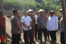Petani di Kuningan Kembangkan Bawang Putih Langsung Didatangi Kapolda Jabar