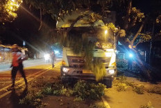 Malam-malam Jalan Diponegoro Cirebon Heboh, Pohon Besar Ambruk Timpa Truk