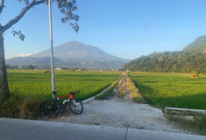 Gowes Menyusuri Tebing Walikukun, Permata Tersembunyi di Tapal Batas Cirebon - Majalengka 