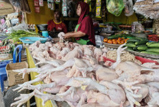 Jelang Ramadan, Harga Cabai dan Ayam di Cirebon Timur Melonjak