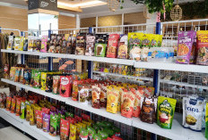 KKPR Darat Kini Cukup Pernyataan Mandiri di OSS, Usaha Mikro Tak Perlu Prosedur Rumit