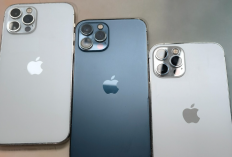 4 Rekomendasi iPhone Bekas Budget 5 Jutaan, Masih Layak Buat Kerja dan Ngonten TikTok