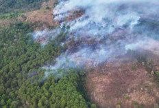 Karhutla Gunung Ciremai Hanguskan 60 Hektare Lahan, Medan Terjal dan Krisis Air Jadi Kendala Pemadaman