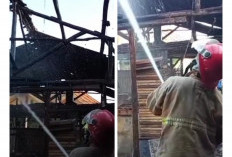 Kebakaran Pabrik Tahu di Palimanan Cirebon, Api Diduga Berasal dari Bara Kayu Bakar