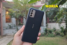 Rahasia Kerja Lebih Lancar! 3 HP Murah Baterai Jumbo, Sinyal Stabil, 5G, Cocok untuk Petani Pedesaan Modern