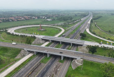 H-3 Natal 2025, Arus Tol Cipali Lengang! Volume Kendaraan Anjlok hingga 17 Persen