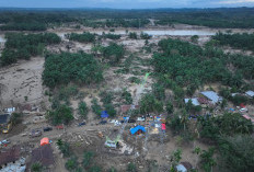 PLN Sukses Sambungkan Kembali Backbone Listrik Sumatra–Aceh Pascabencana