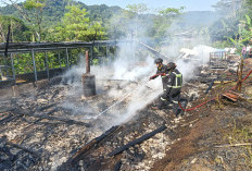 Tragedi Peternak Kuningan! Kandang Terbakar, 6.300 Bibit Ayam Mati dan Kerugian Capai Rp120 Juta