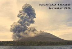 Ternyata Gunung Anak Krakatau Masih Bertumbuh, Diprediksi Bisa Capai 330 Meter pada 2030