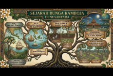 Sekilas tentang Pohon Kamboja, Sejak Kapan Ditanam di Kuburan? Begini Penjelasannya
