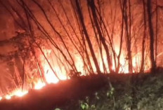 Kebakaran Lahan di Perbatasan Belawa-Cipeujeh Kembali Membesar, Warga Khawatir Api Merembet ke Permukiman