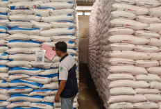 Stok Pupuk Urea Bersubsidi di Cirebon Capai 8.885,7 Ton, Pupuk Kujang Siaga Hadapi Musim Tanam Okmar