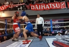 Cirebon Fight Arena 3 Jadi Ajang Pembinaan Atlet Tinju Menuju Level Internasional