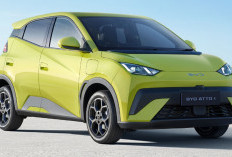 Pilihan Mobil Listrik Rp 300 Jutaan Terbaru 2025, Cek Spesifikasi dan Harga OTR