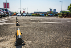 Daftar Rest Area Terbaik di Tol Trans Jawa, Fasilitas Lengkap dari SPBU hingga Mini Zoo