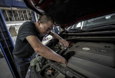Oli Mobil Terus Berkurang, Cek 4 Komponen Ini Sebelum Mesin Rusak Parah