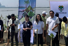 Tanam 500 Mangrove di Pesisir Cirebon, Laurentia Mellynda: Jangan Berhenti di Seremoni