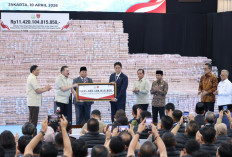 Fantastis! Negara Kantongi Rp11,42 Triliun dari Penertiban Hutan Ilegal