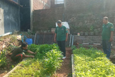 Muhammad Yani, Petani Perkotaan Sukses Manfaatkan Pekarangan Menjadi Pertanian Terpadu