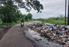 Penampakan Tumpukan Sampah di Jalan Poros Penguragan , TPS Pasar Minggu Palimanan Juga Luber