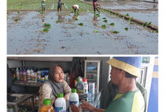 Dampak Dolar AS Naik Mulai Terasa di Desa, Petani Cirebon Keluhkan Harga Pestisida Meroket